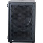 סאב וופר מוגבר Peavey PVs-12