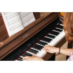 פסנתר חשמלי Nux NCK-430 בצבע Rodewood – תמונה 8