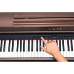 פסנתר חשמלי Nux NCK-430 בצבע Rodewood – תמונה 9