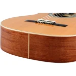 גיטרה קלאסית Ortega R18G – תמונה 11
