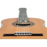 גיטרה קלאסית Ortega R19G – תמונה 12
