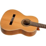 גיטרה קלאסית Ortega R20GWN – תמונה 7
