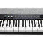 פסנתר חשמלי Kurzweil KaP1 – תמונה 2