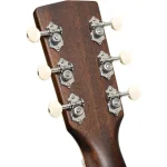 גיטרה אקוסטית מוגברת Cort Exotic-SFX Myrtle גוף דק – תמונה 10