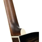 גיטרה אקוסטית מוגברת Cort Exotic-SFX Ash גוף דק – תמונה 6